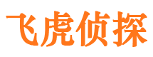 枝江婚外情调查取证